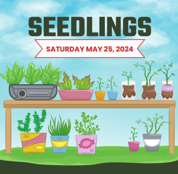 Screenshot 2024-05-08 143014